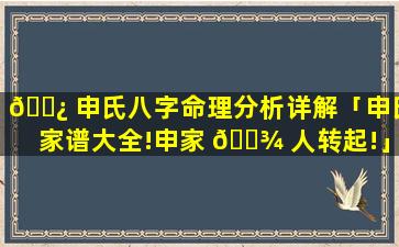 🌿 申氏八字命理分析详解「申氏家谱大全!申家 🌾 人转起!」